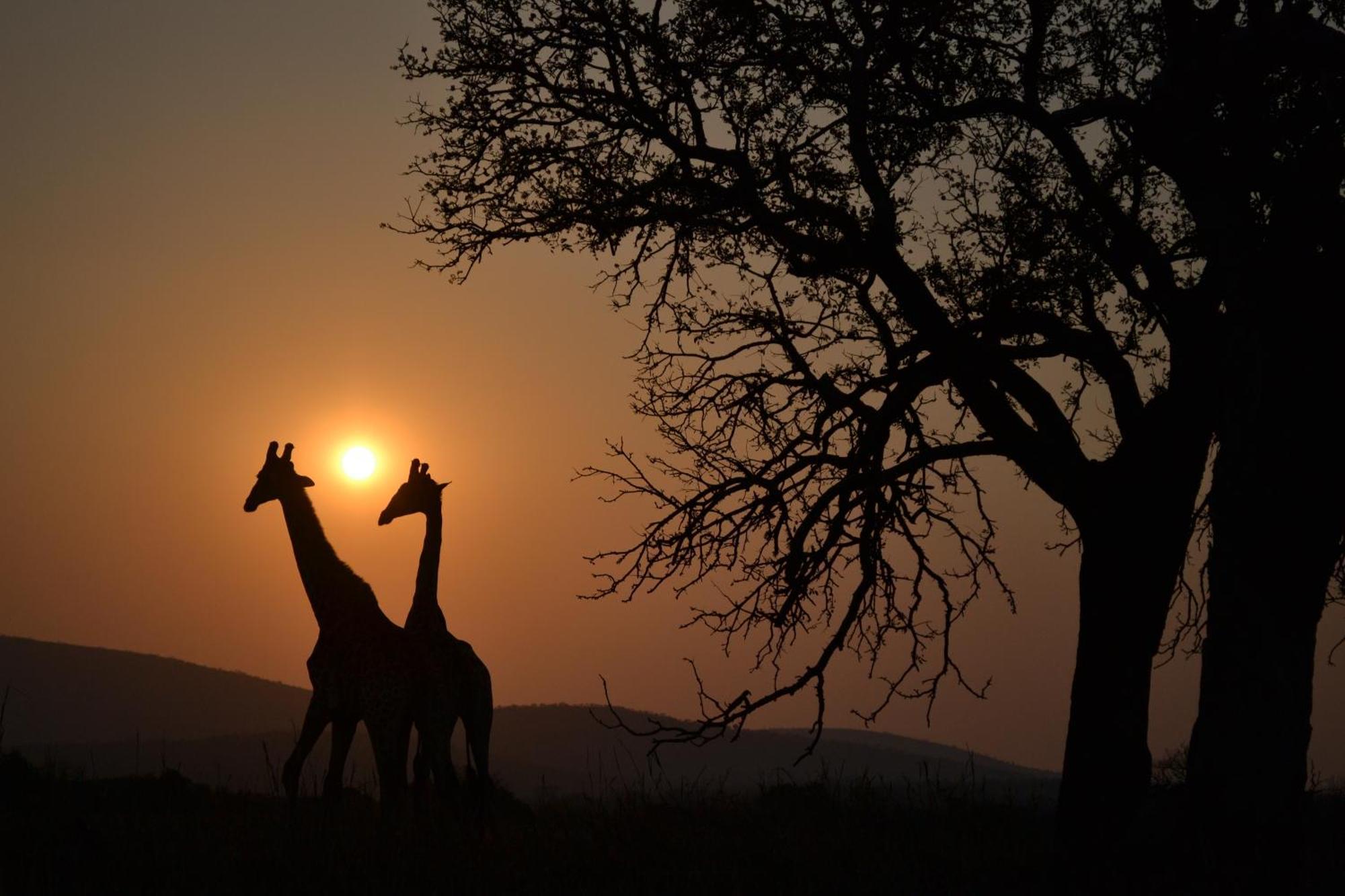 Leopard Mountain Safari Lodge Manyoni Private Game Reserve Exterior foto