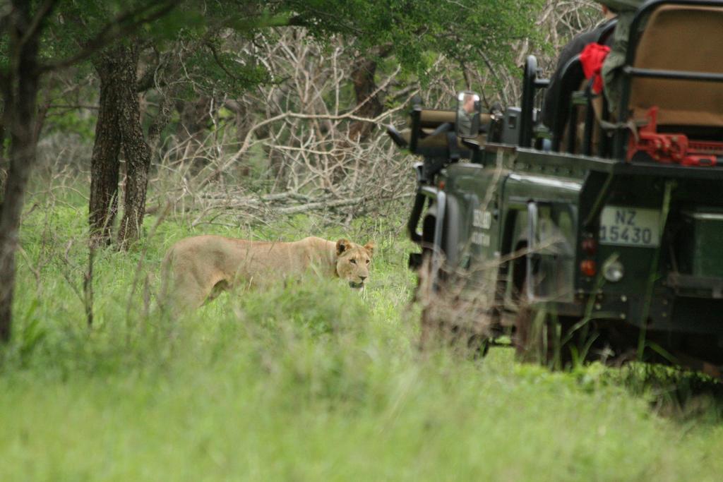 Leopard Mountain Safari Lodge Manyoni Private Game Reserve Exterior foto