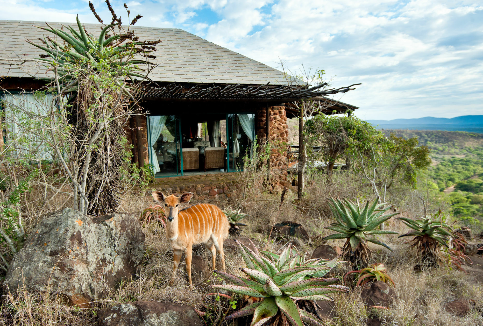 Leopard Mountain Safari Lodge Manyoni Private Game Reserve Exterior foto