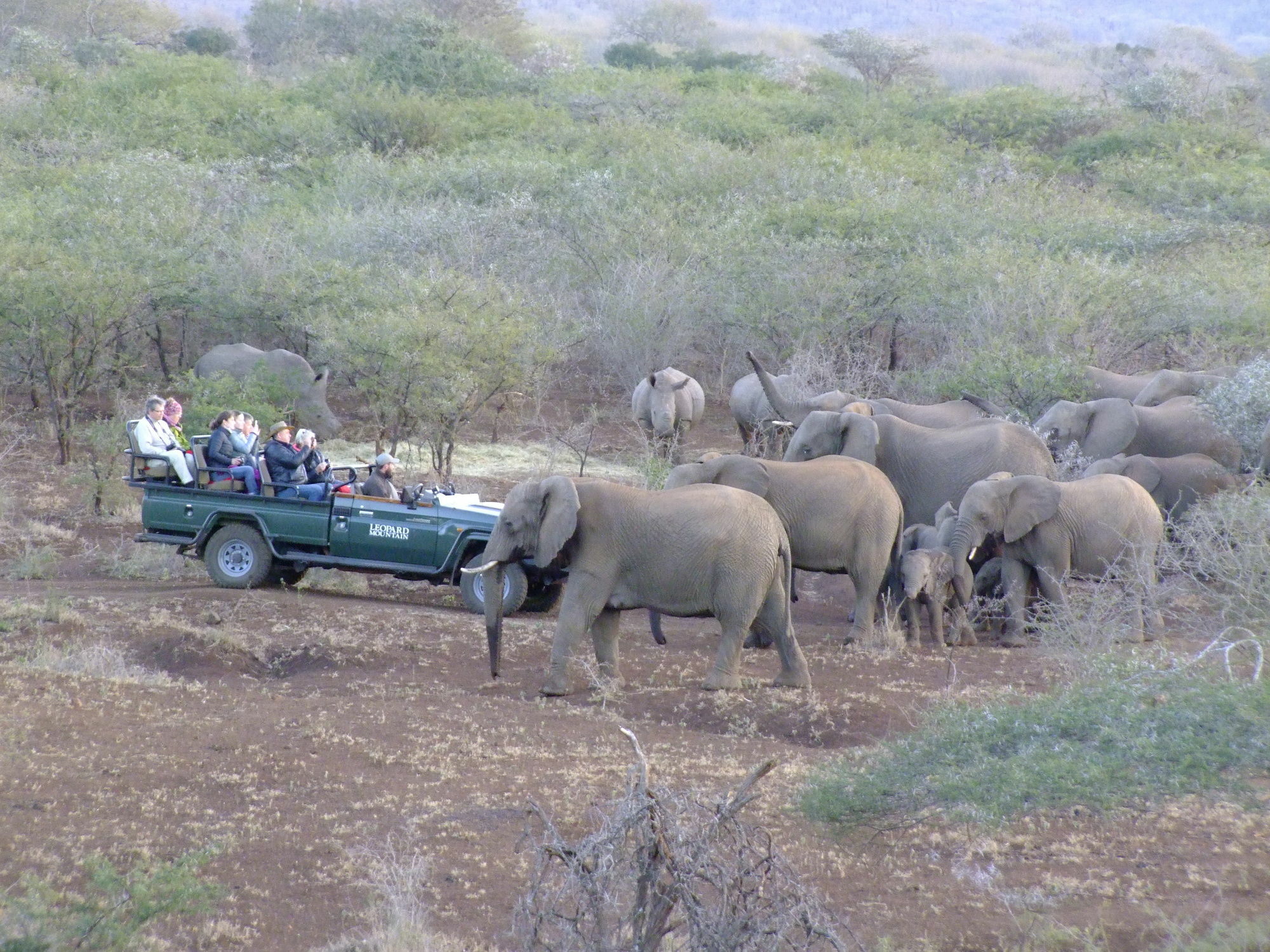 Leopard Mountain Safari Lodge Manyoni Private Game Reserve Exterior foto